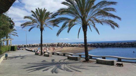Casa Ventura Villa Arco da Calheta  Exteriör bild