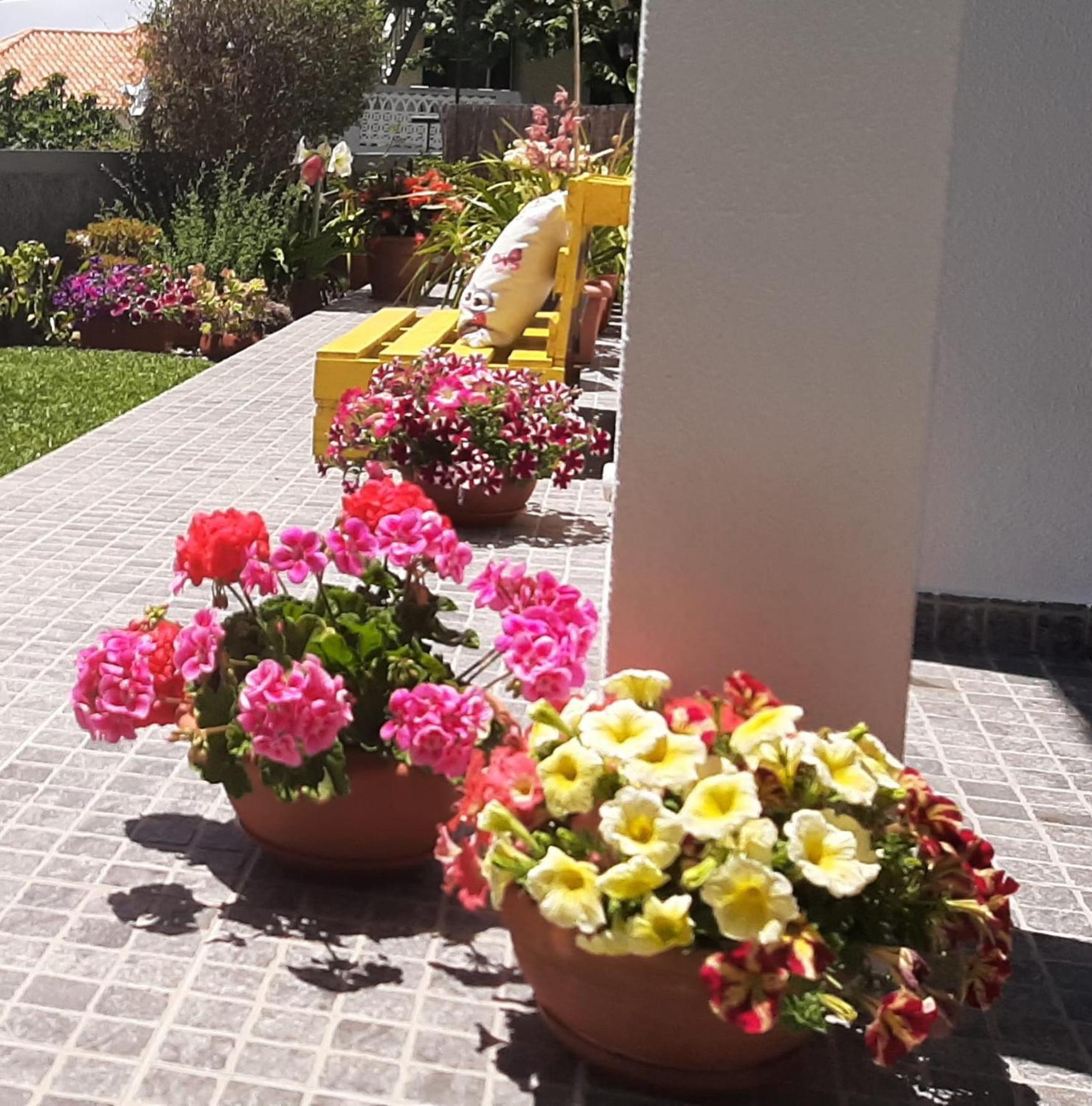 Casa Ventura Villa Arco da Calheta  Exteriör bild
